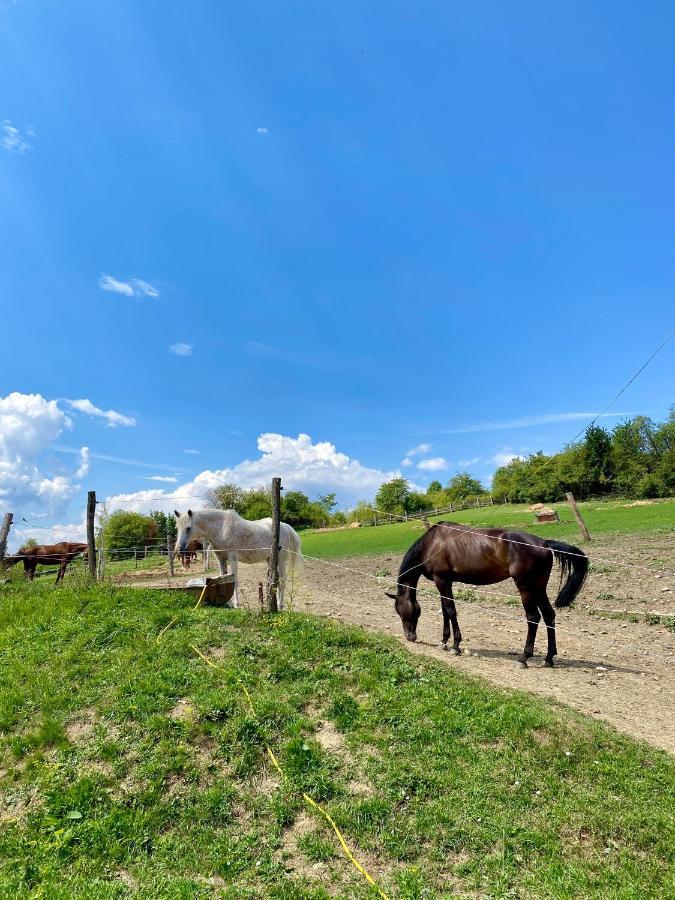 Liptovske Chaty Liptovský Mikuláš Exterior foto